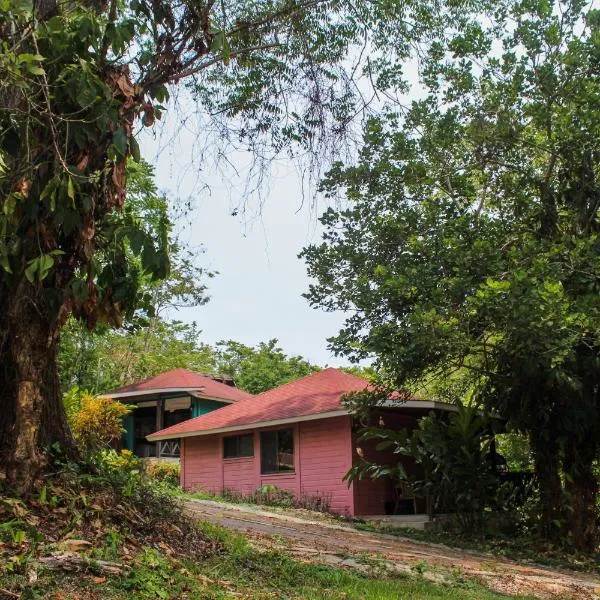 Winíka Alterra, hotel v destinaci Palenque