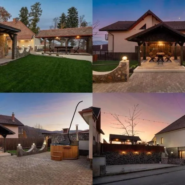 Vila Luiza, hotel en Cisnădioara