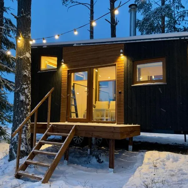 TaaliHomes Metsamajake - kadakasaun hinnas, Hotel in Soesaare