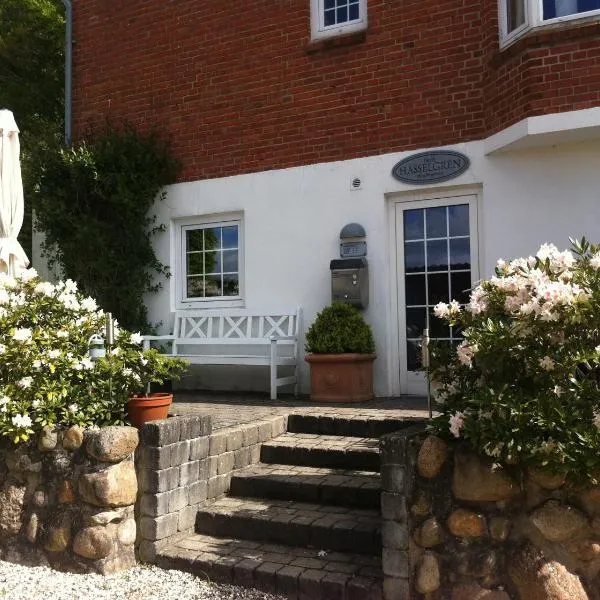 B&B Hasselgren, khách sạn ở Viborg