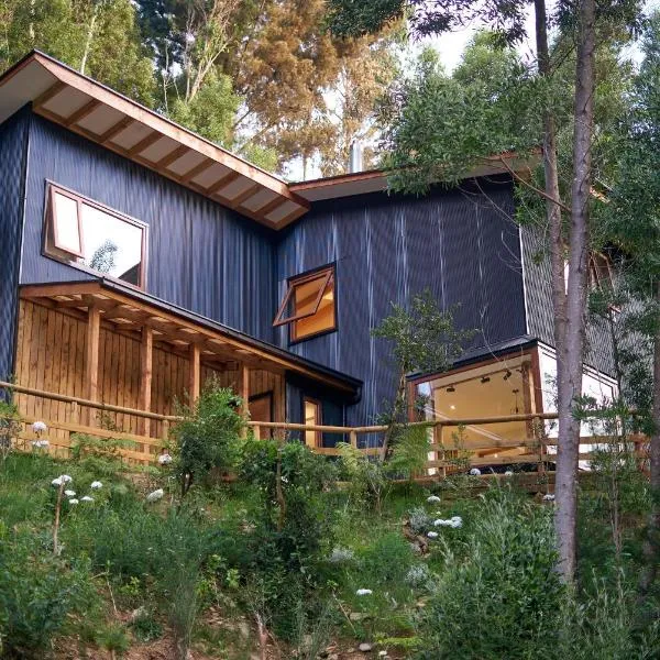 Agua de la piedra, ξενοδοχείο σε Valdivia