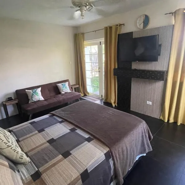 Scarlett Studios 1 -US Embassy Appt 7 mins drive- Lloyd Erskine Sandiford Centre and Ross uni 5 mins drive - Only the 1 night package includes Airport and US Embassy roundtrip, hotel a Bridgetown