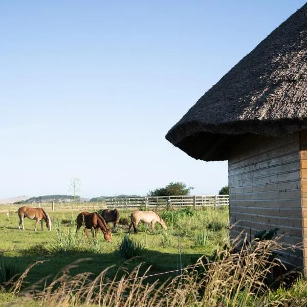 Los Chajá Ecolodge, hotel in Barra de Valizas
