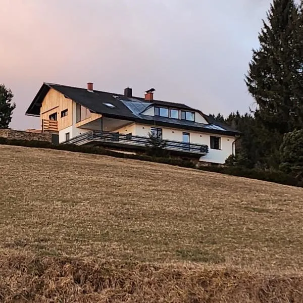 Ferienwohnung Reich, hotel in Hirschegg Rein