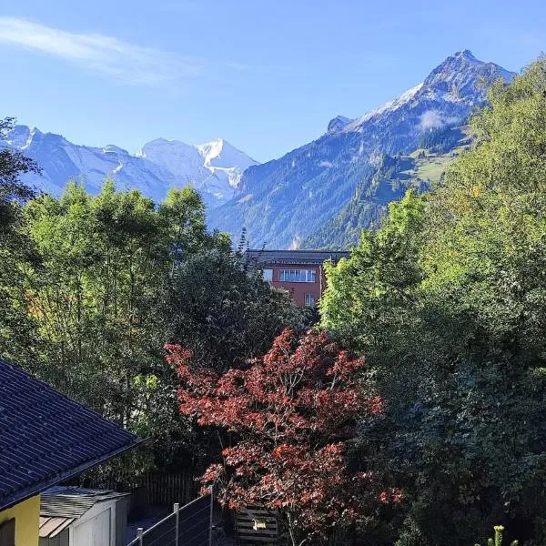 1,5 Zimmer Ferienwohnung Lindenmatte Frutigen Berner Oberland, hotel di Frutigen