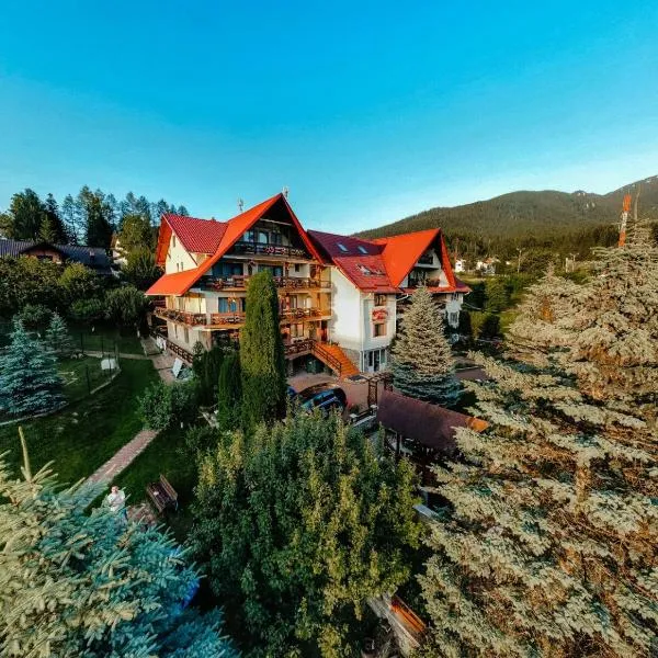 Pensiunea Alpin, hotel in Durau
