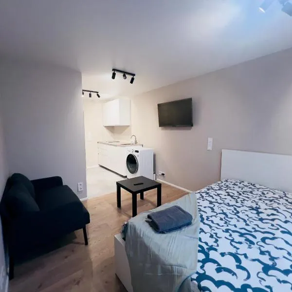 studio apartment, hotel in Vilnius
