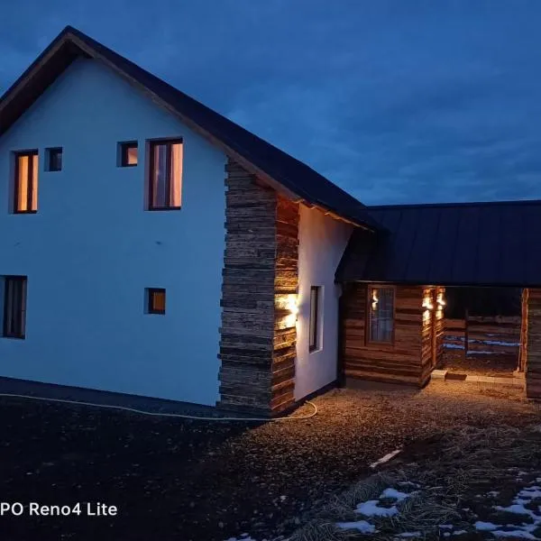 Cabana Ana Toplița, ξενοδοχείο σε Toplita