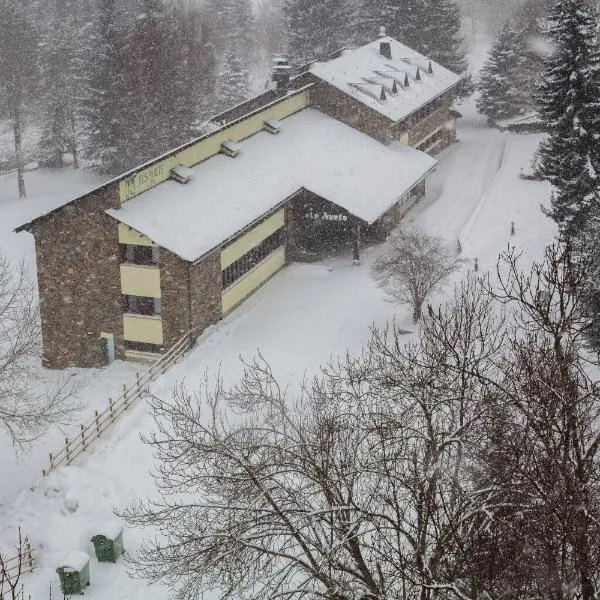 Hotel Els Avets, Hotel in Sorpe