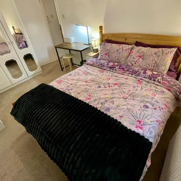 Vernon Place town centre, Vernon Cottage 3-bed with parking, 1A Vernon Court 2-bed with parking, 1B studio no parking, off the High Street next to Sandford Park、チェルトナムのホテル