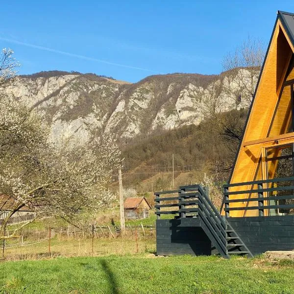 Sălciuella Dream Cabin, hotell sihtkohas Sălciua de Jos