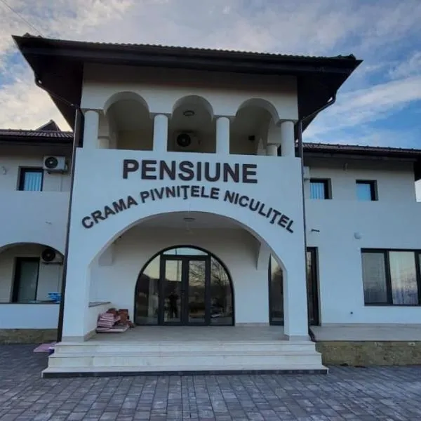 Pensiunea Crama Pivnițele Niculițel, hotel in Niculiţel