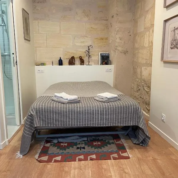 Charmant studio au cœur du Vieux Bordeaux, hotel in Bordeaux