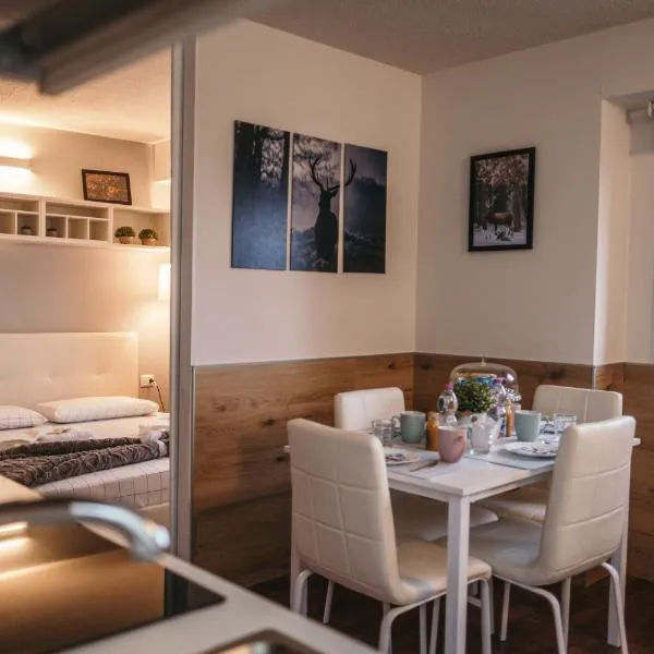 App Panoramico 300 mt dalle Piste Relax e Vista Alpi, hotel en Passo del Tonale