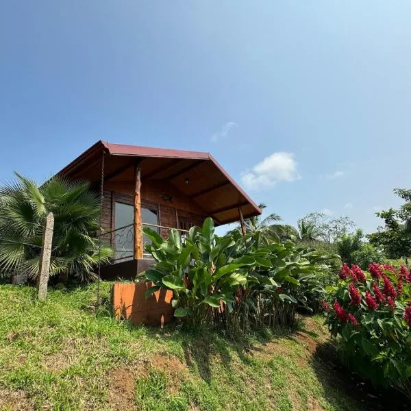 Villa Lomas Sarapiquí, hotel in Colonia Carvajal