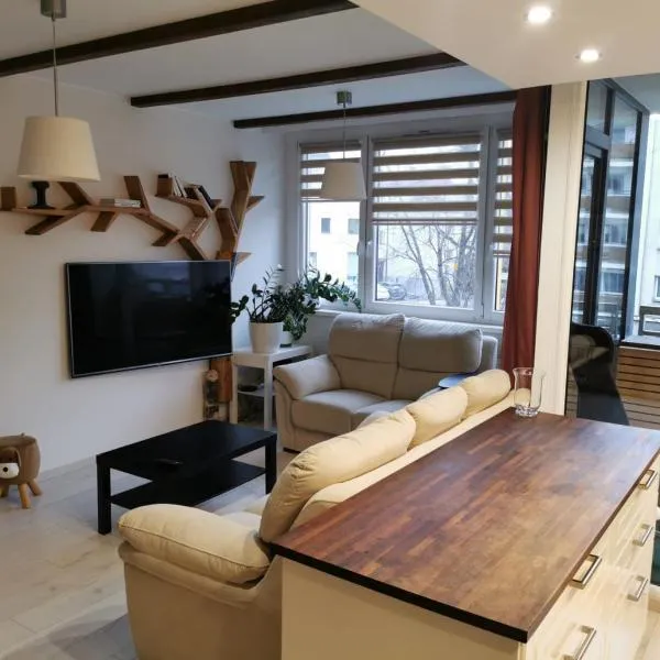 The Cozy Spot 38 parking gratis, hotel in Poznań