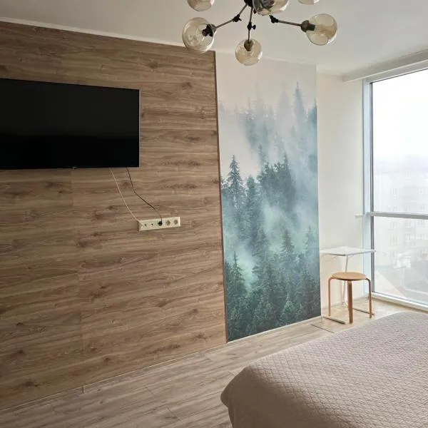 Апартаменти-студія на Герцена, Hotel in Czernowitz