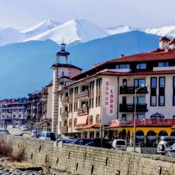 One-bedroom apartment in Cedar Lodge 3, hotel in Bansko