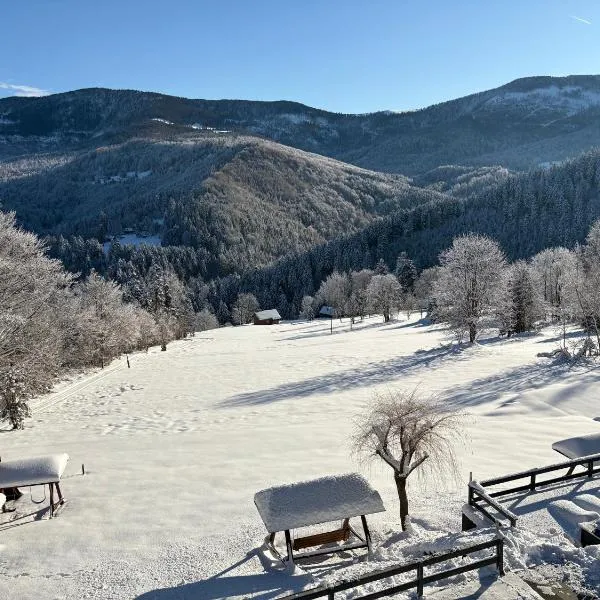 Romanka, hotel in Żabnica