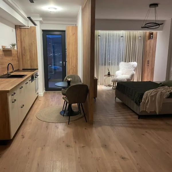 Studio Sara, hotel in Râmnicu Vâlcea