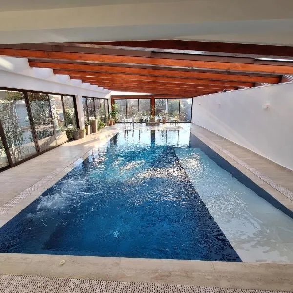 TREND - cazare, gradina, piscina, hotel in Arad