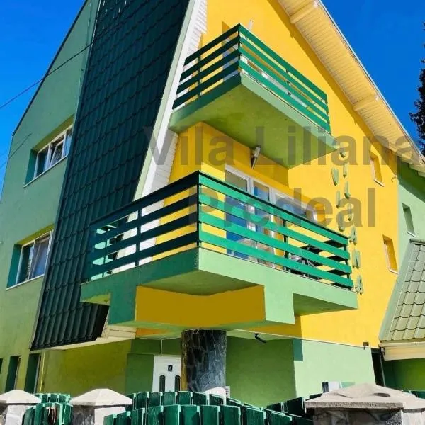 Vila Liliana, ξενοδοχείο σε Predeal