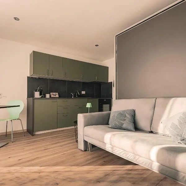 La Clef des Franches，位于赛尼厄莱吉耶的酒店