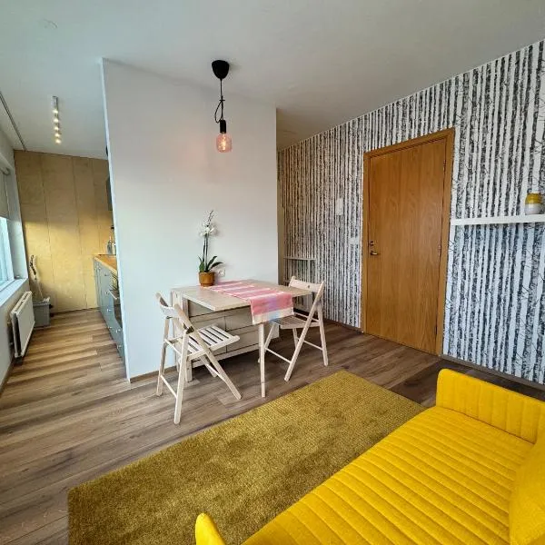 Bright & Cozy Central Studio，位于雷克雅未克的酒店