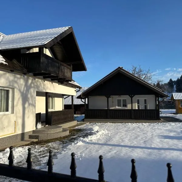 Casa Viorica, Hotel in Câmpulung Moldovenesc