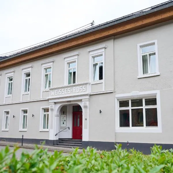 Winzerhof Ross & Rose, hotel v destinaci Trechtingshausen