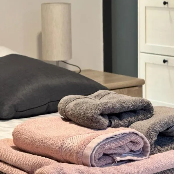 Studio Didine, hotel i Charleroi