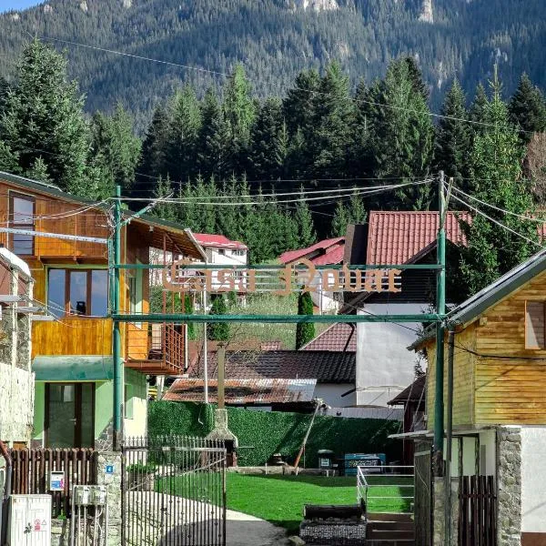 Pensiunea Novac, hotel u gradu 'Durau'