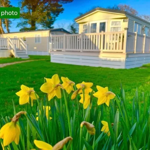 Forest hart, hotel in Sway