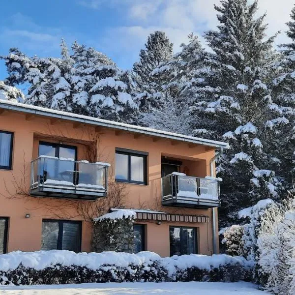 Lipno 35 - Lipno In, ξενοδοχείο σε Lipno nad Vltavou