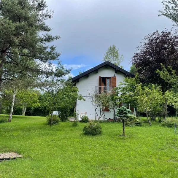 Gino's house，位于Valmorel的酒店