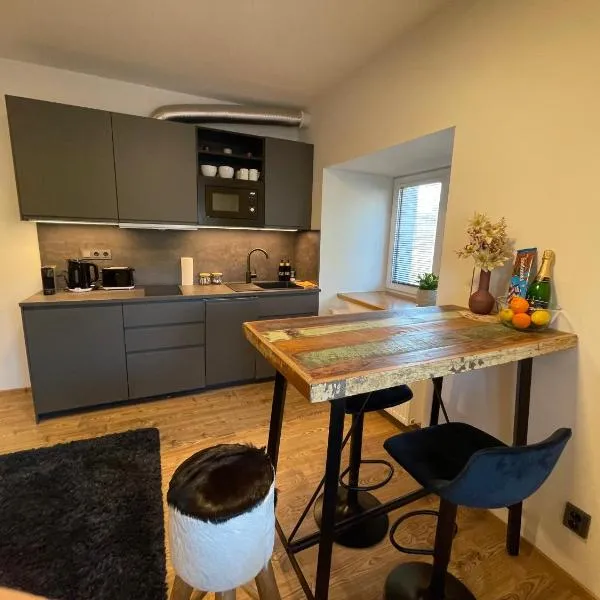 Apartment NAVI- Modern studio in Krkonoše foothills, hotel in Staré Buky