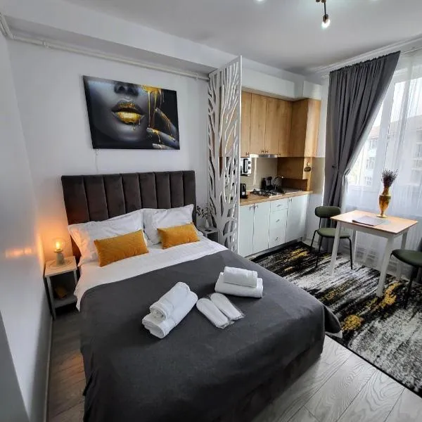 Studio Helen, hotel in Onești