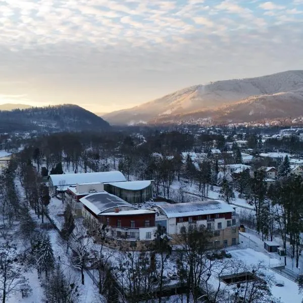Hotel Olympic Spa & Wellness, hotel a Ustroń
