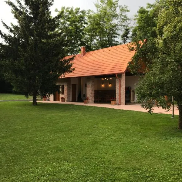 Gyöpszer Gyöngye Vendégház,位于Egyházasrádóc的酒店