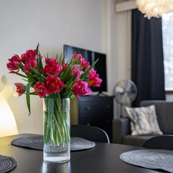 Sampo Studios, hotel v destinaci Rovaniemi