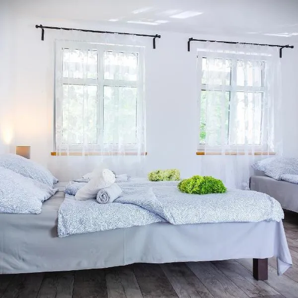 Wrzosowy Młyn - Twoje miejsce nad Jeziorem, Hotel in Międzyrzecz