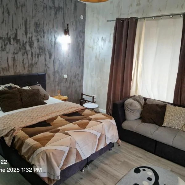 Casa Rahova, hotel v destinaci Brăila