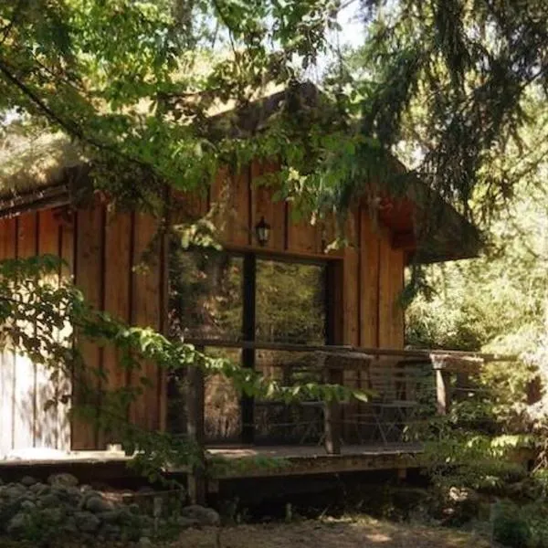 Chalet toit vegétalisé, hotel a Champfromier
