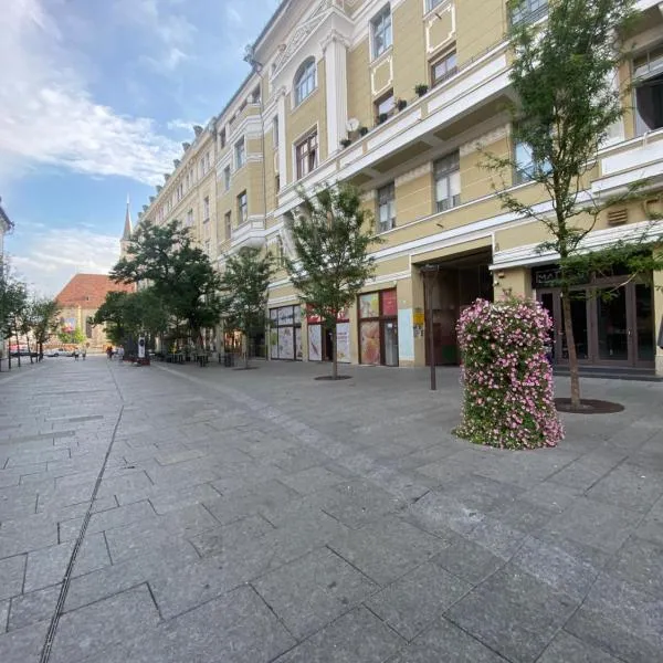 Central studio flat Cluj Napoca, hotel in Cluj-Napoca