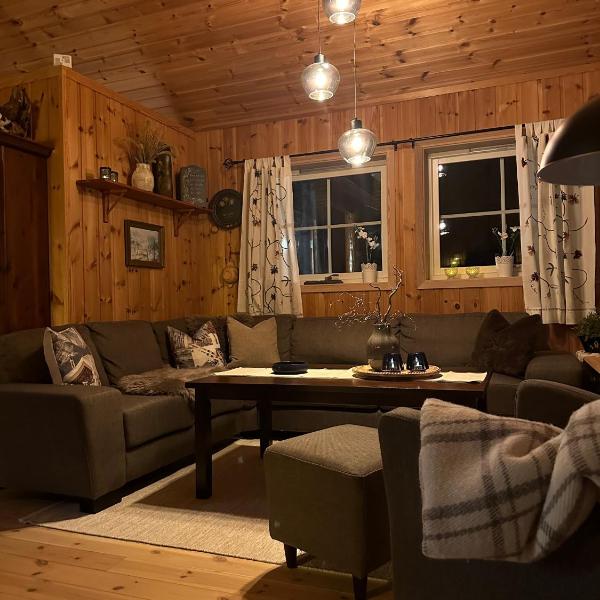 Cabin at Furutangen - 3 bedroom family cabin, Åmot