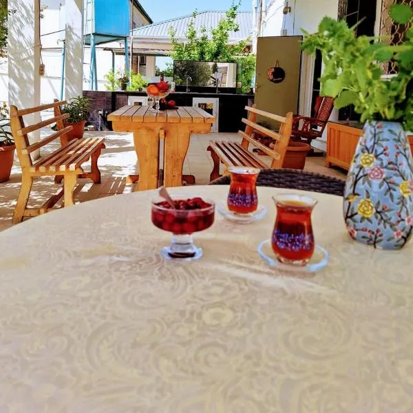 Pirshagi Villa, hotel v destinaci Baku