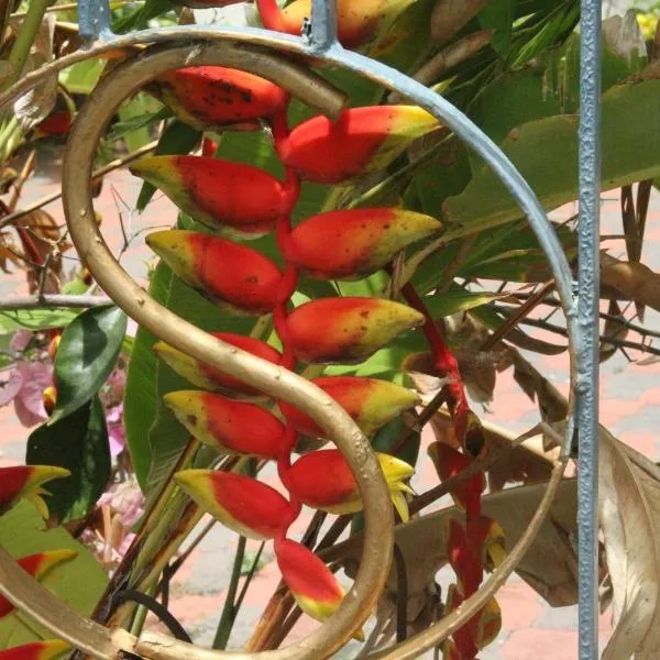 Sweetsop Jamaica Villa and Tour, hotel in Montego Bay