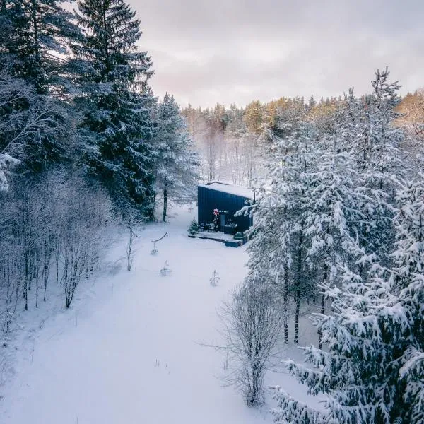 NEILA - 'Virš Ąžuolų' - Forest SPA - FREE jacuzzi, hotel v destinaci Paplatelė