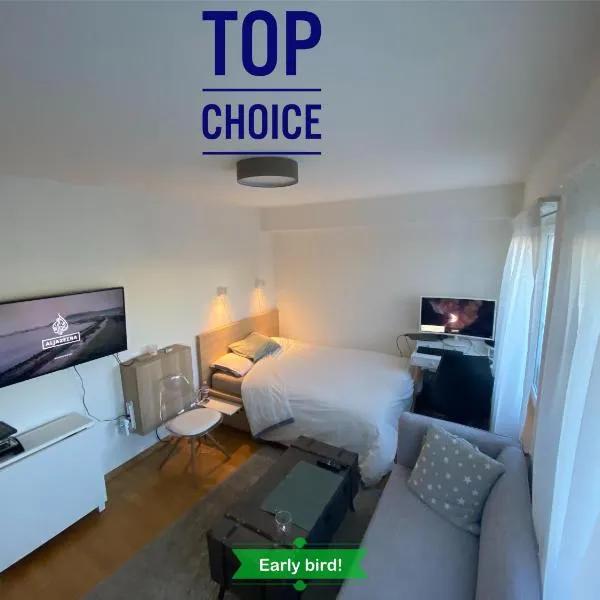 Practical Self-Check-in Studio, ξενοδοχείο σε Lausen