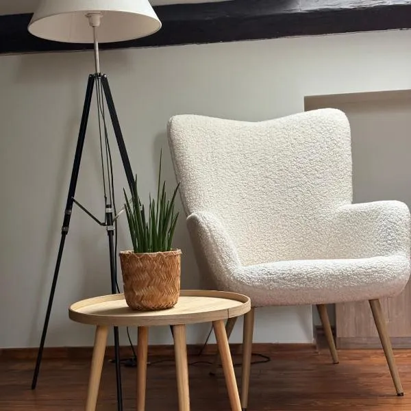 Rezidence U Kamenného mostu, ξενοδοχείο σε Písek